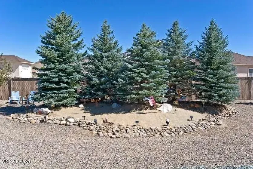 1572 Amber Rose, Minden, Nevada 89423, 3 Bedrooms Bedrooms, ,3 BathroomsBathrooms,Residential,Residential,Amber Rose,0,260008960