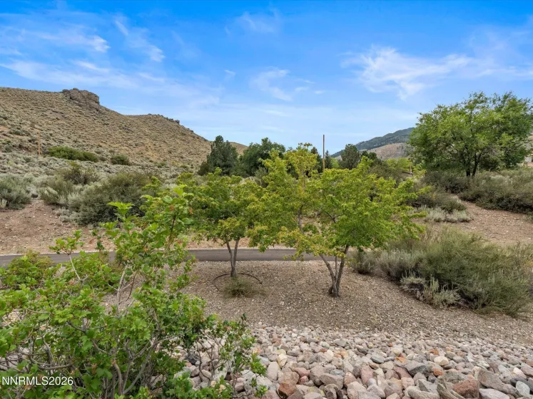 102 Sussex, Carson City, Nevada 89703, 3 Bedrooms Bedrooms, ,2 BathroomsBathrooms,Residential,Residential,Sussex,0,260008987