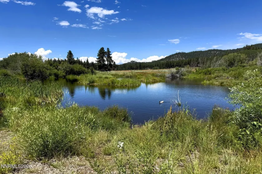 158 Aynes, Stateline, Nevada 89449, 4 Bedrooms Bedrooms, ,3 BathroomsBathrooms,Residential,Residential,Aynes,0,260009025