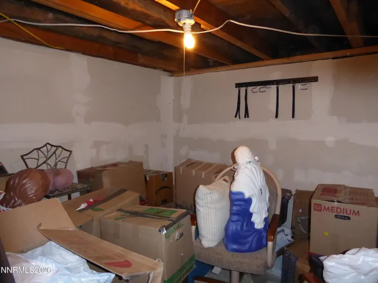 Storage basement