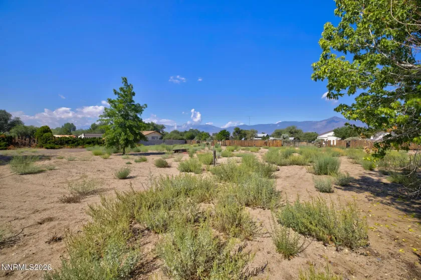 2724 Stewart, Minden, Nevada 89423, 3 Bedrooms Bedrooms, ,2 BathroomsBathrooms,Residential,Residential,Stewart,0,260009049