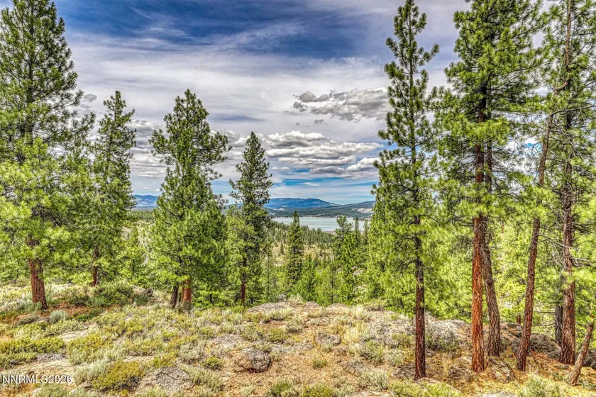 14594 Boca View, Truckee, California 96161, 4 Bedrooms Bedrooms, ,4 BathroomsBathrooms,Residential,Residential,Boca View,0,260009058