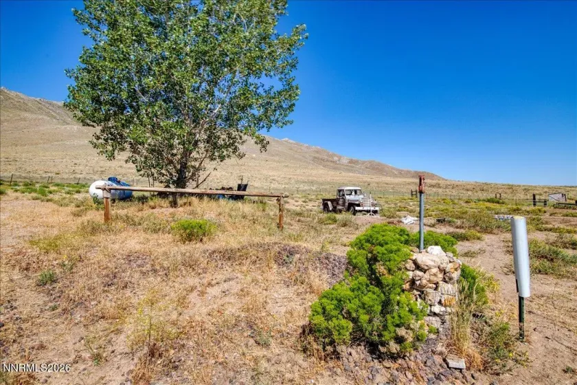 Side Yard
