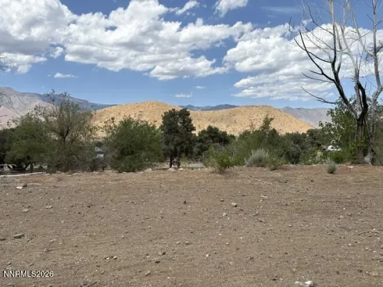 418 Patricia, Coleville, California 96107, ,Land,Residential,Patricia,0,260009185