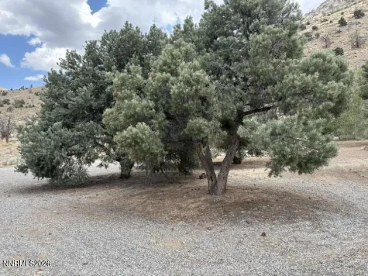 418 Patricia, Coleville, California 96107, ,Land,Residential,Patricia,0,260009185