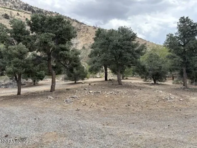 418 Patricia, Coleville, California 96107, ,Land,Residential,Patricia,0,260009185