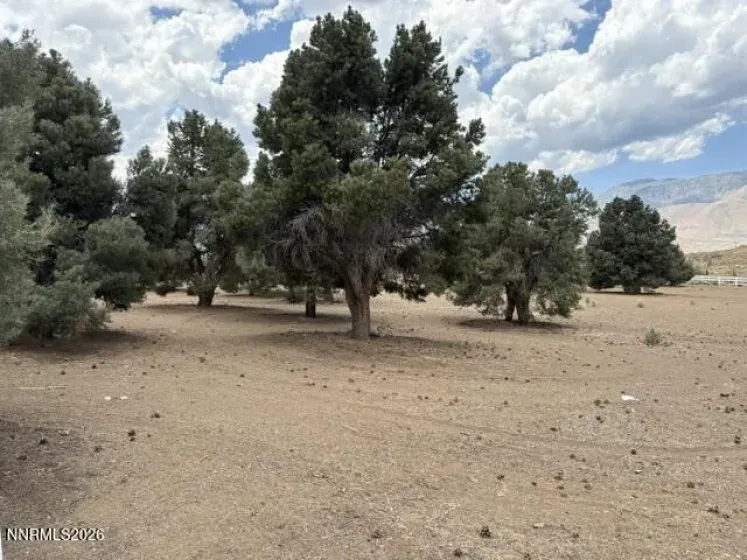 418 Patricia, Coleville, California 96107, ,Land,Residential,Patricia,0,260009185