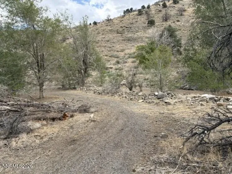 418 Patricia, Coleville, California 96107, ,Land,Residential,Patricia,0,260009185