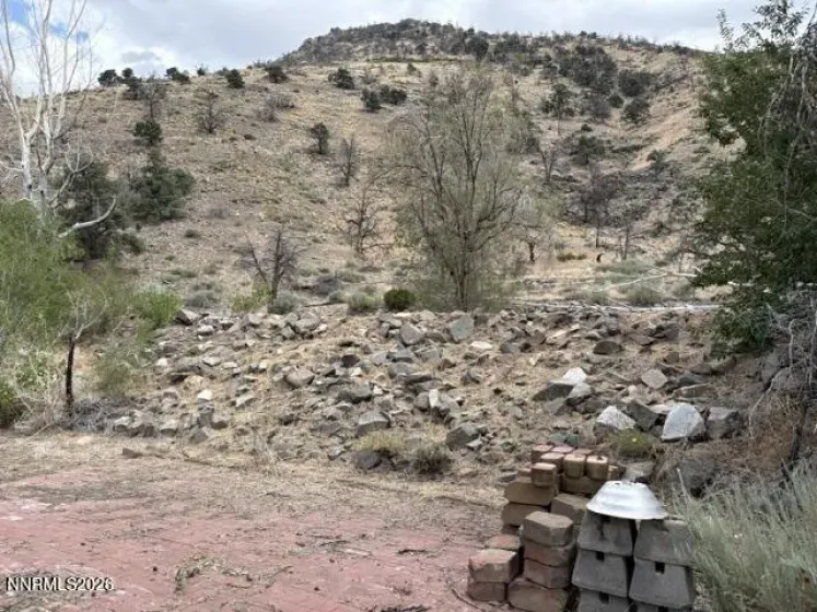 418 Patricia, Coleville, California 96107, ,Land,Residential,Patricia,0,260009185