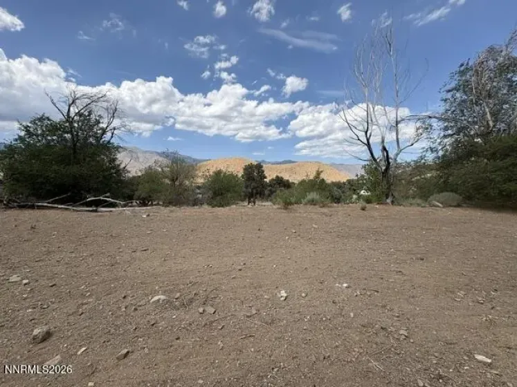 418 Patricia, Coleville, California 96107, ,Land,Residential,Patricia,0,260009185