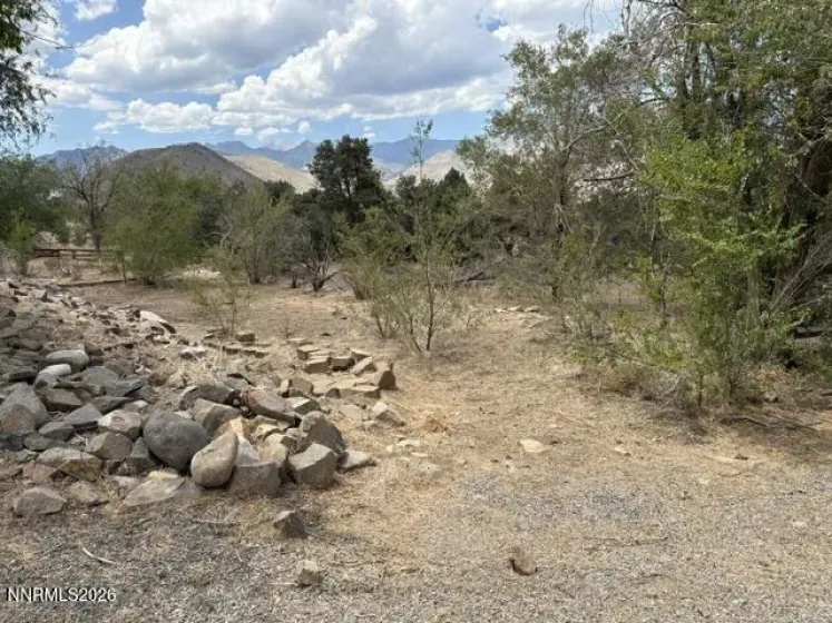 418 Patricia, Coleville, California 96107, ,Land,Residential,Patricia,0,260009185