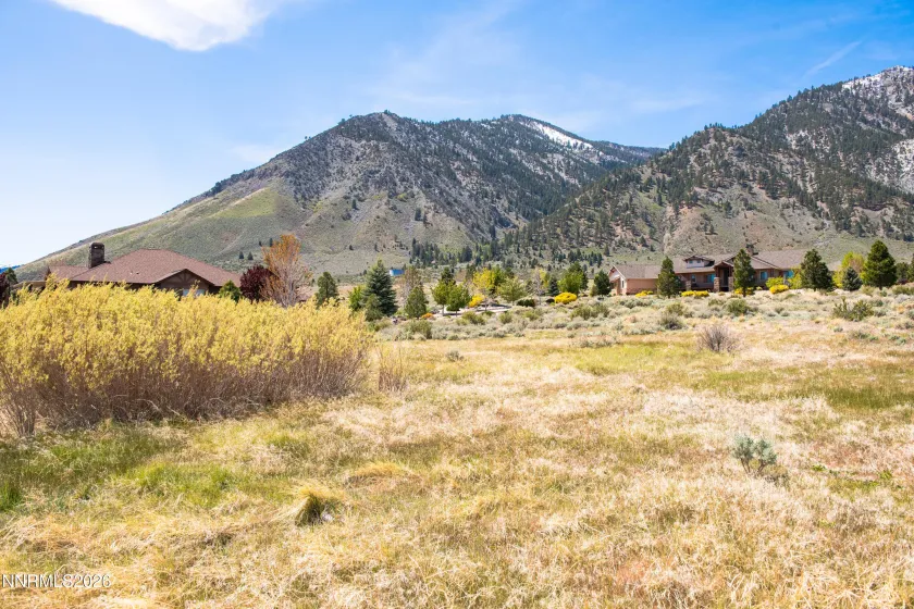 328 James Canyon, Genoa, Nevada 89411, ,Land,Residential,James Canyon,0,260005061
