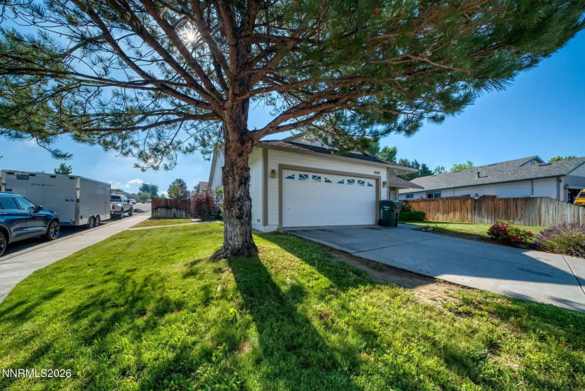 3545 Smoketree, Carson City, Nevada 89705, 3 Bedrooms Bedrooms, ,2 BathroomsBathrooms,Residential,Residential,Smoketree,0,260009217