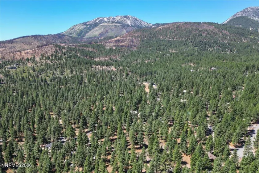16730 Maggie, Reno, Nevada 89511, ,Land,Residential,Maggie,0,260009269