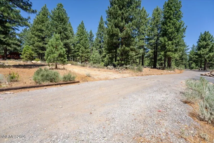 16730 Maggie, Reno, Nevada 89511, ,Land,Residential,Maggie,0,260009269