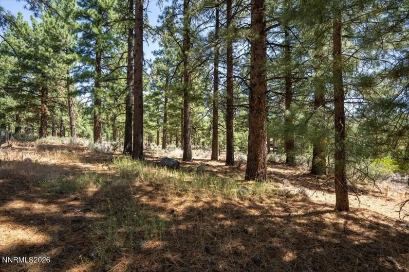 16730 Maggie, Reno, Nevada 89511, ,Land,Residential,Maggie,0,260009269