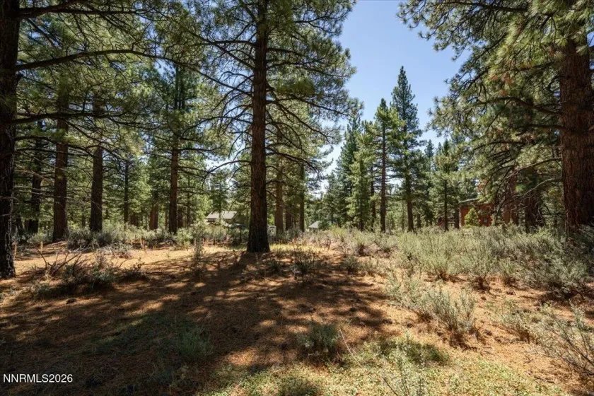 16730 Maggie, Reno, Nevada 89511, ,Land,Residential,Maggie,0,260009269