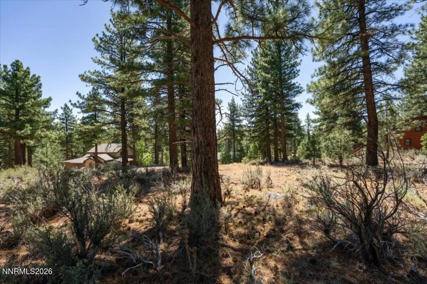 16730 Maggie, Reno, Nevada 89511, ,Land,Residential,Maggie,0,260009269