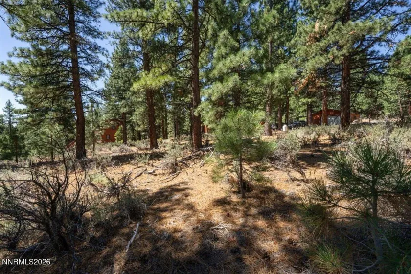 16730 Maggie, Reno, Nevada 89511, ,Land,Residential,Maggie,0,260009269