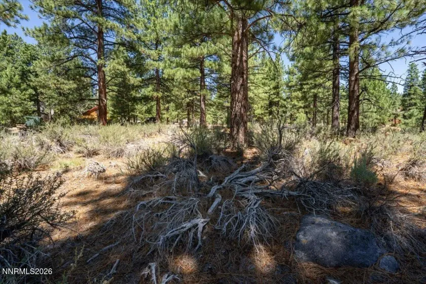 16730 Maggie, Reno, Nevada 89511, ,Land,Residential,Maggie,0,260009269