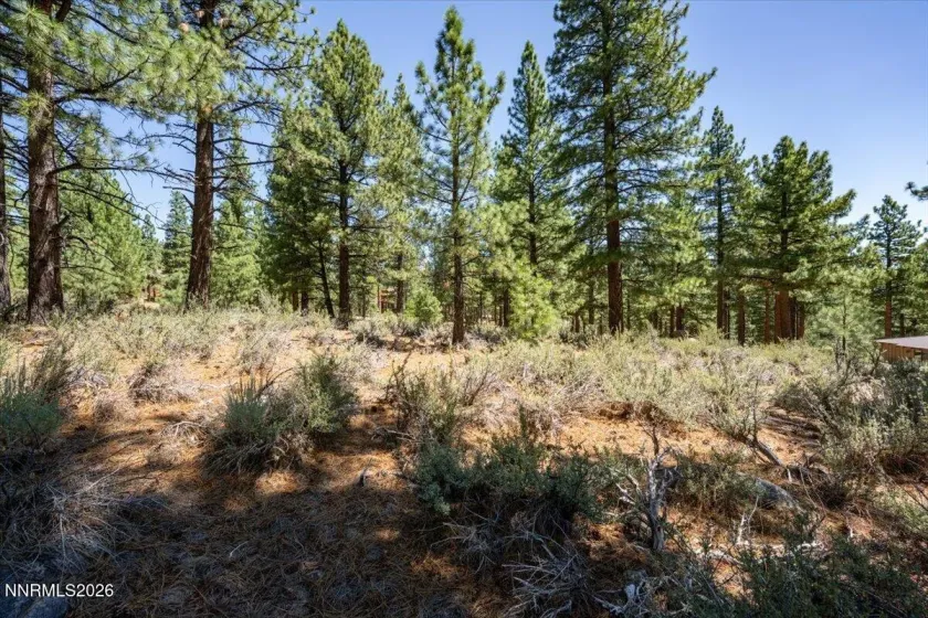 16730 Maggie, Reno, Nevada 89511, ,Land,Residential,Maggie,0,260009269