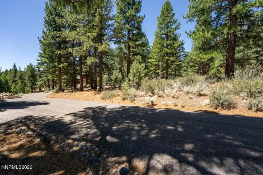 16730 Maggie, Reno, Nevada 89511, ,Land,Residential,Maggie,0,260009269