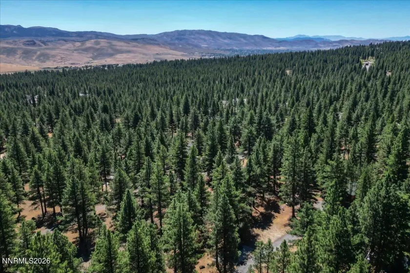 16730 Maggie, Reno, Nevada 89511, ,Land,Residential,Maggie,0,260009269