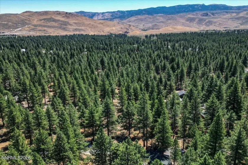 16730 Maggie, Reno, Nevada 89511, ,Land,Residential,Maggie,0,260009269