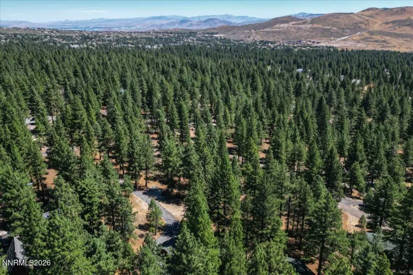 16730 Maggie, Reno, Nevada 89511, ,Land,Residential,Maggie,0,260009269