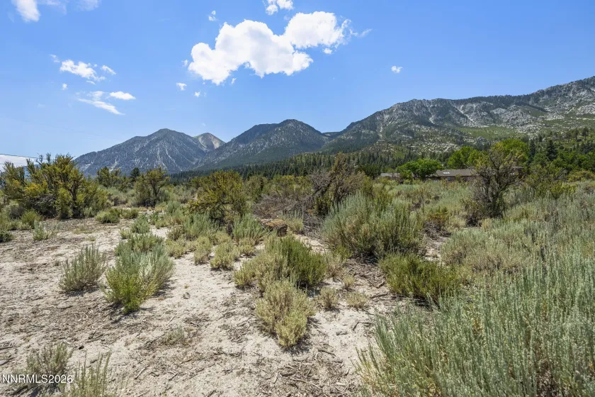 1151 Cary Creek, Gardnerville, Nevada 89460, 4 Bedrooms Bedrooms, ,3 BathroomsBathrooms,Residential,Residential,Cary Creek,0,260009333