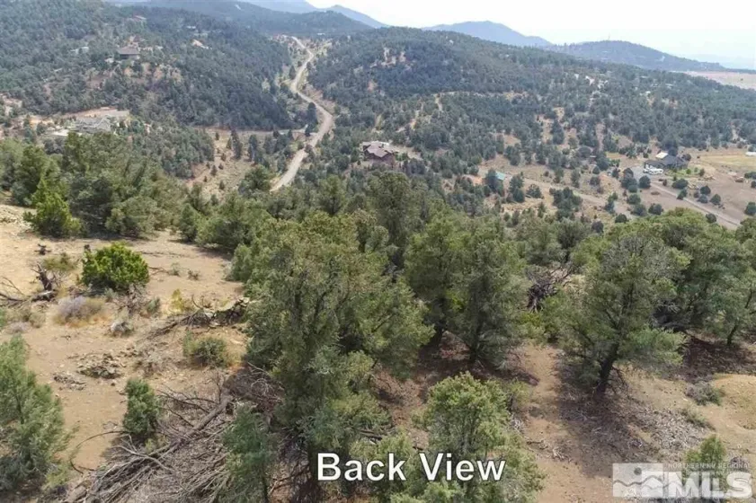 21455 Saddleback, Virginia City, Nevada 89521, ,Land,Residential,Saddleback,0,250003642