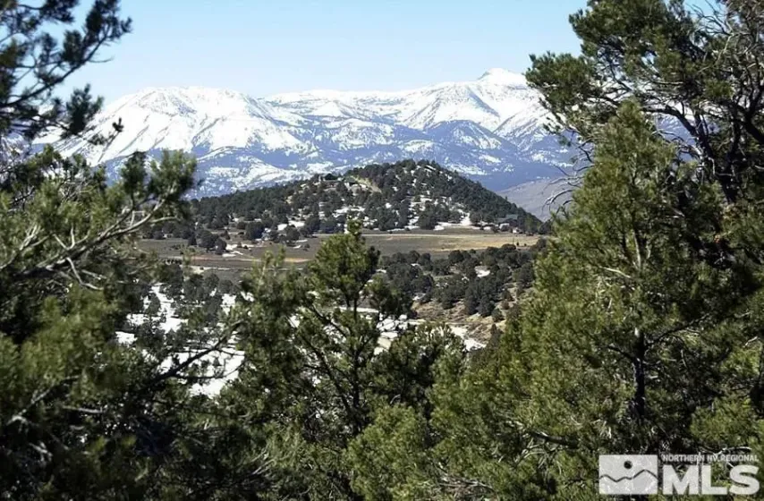 21455 Saddleback, Virginia City, Nevada 89521, ,Land,Residential,Saddleback,0,250003642