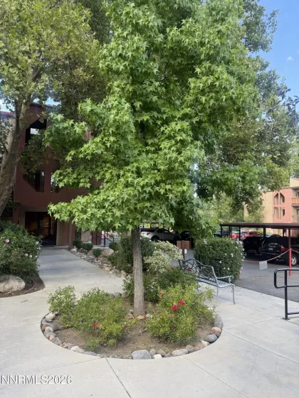 2955 Lakeside, Reno, Nevada 89509, 2 Bedrooms Bedrooms, ,1 BathroomBathrooms,Residential,Residential,Lakeside,0,260009352