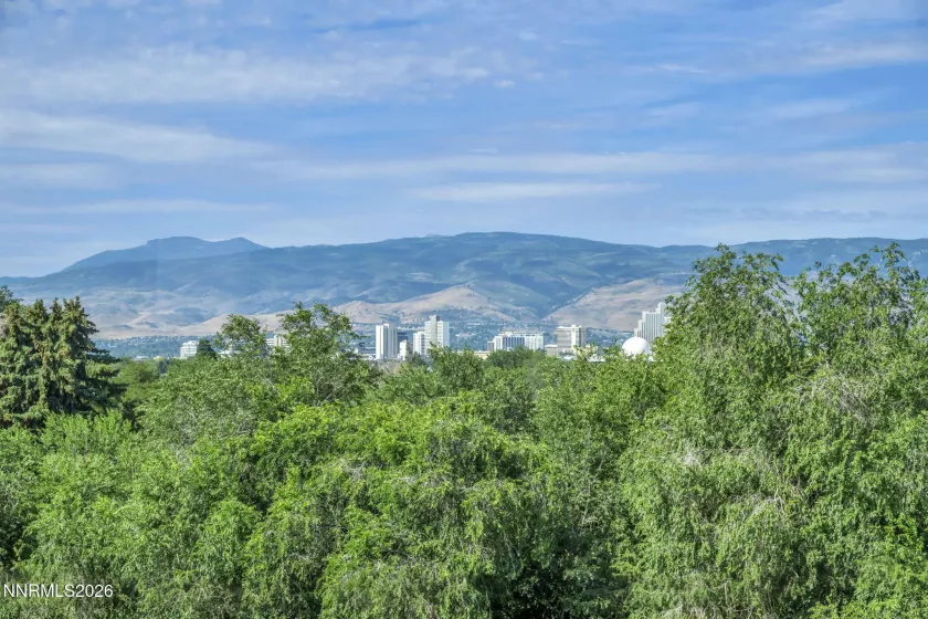 3496 Willow Hills, Reno, Nevada 89512, 2 Bedrooms Bedrooms, ,2 BathroomsBathrooms,Residential,Residential,Willow Hills,0,260009353