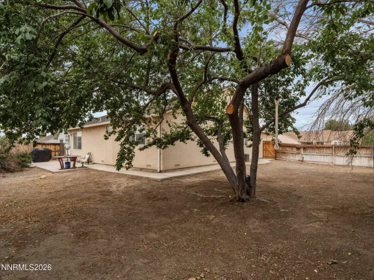 1738 Art, Fernley, Nevada 89408, 3 Bedrooms Bedrooms, ,2 BathroomsBathrooms,Residential,Residential,Art,0,260009384