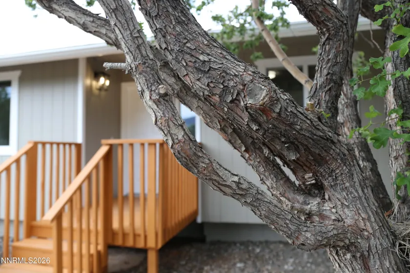 10300 Bounder, Reno, Nevada 89508, 3 Bedrooms Bedrooms, ,2 BathroomsBathrooms,Residential,Residential,Bounder,0,260009421
