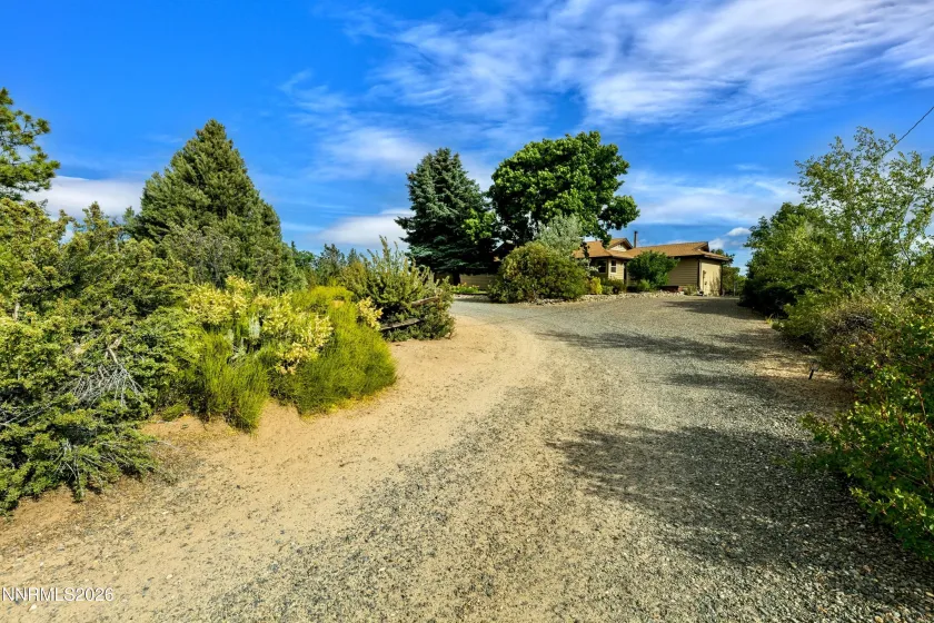 1565 Shirley, Minden, Nevada 89423, 4 Bedrooms Bedrooms, ,2 BathroomsBathrooms,Residential,Residential,Shirley,0,260009422