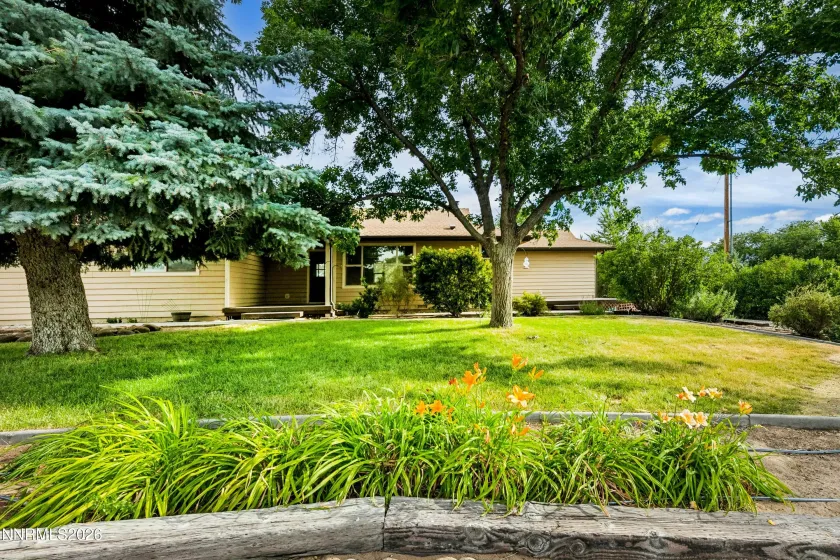 1565 Shirley, Minden, Nevada 89423, 4 Bedrooms Bedrooms, ,2 BathroomsBathrooms,Residential,Residential,Shirley,0,260009422