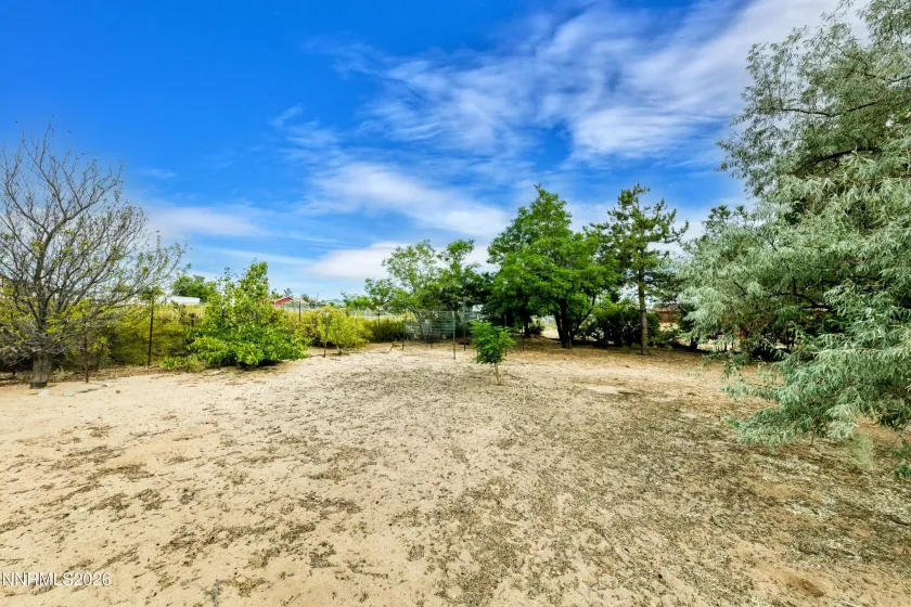 1565 Shirley, Minden, Nevada 89423, 4 Bedrooms Bedrooms, ,2 BathroomsBathrooms,Residential,Residential,Shirley,0,260009422