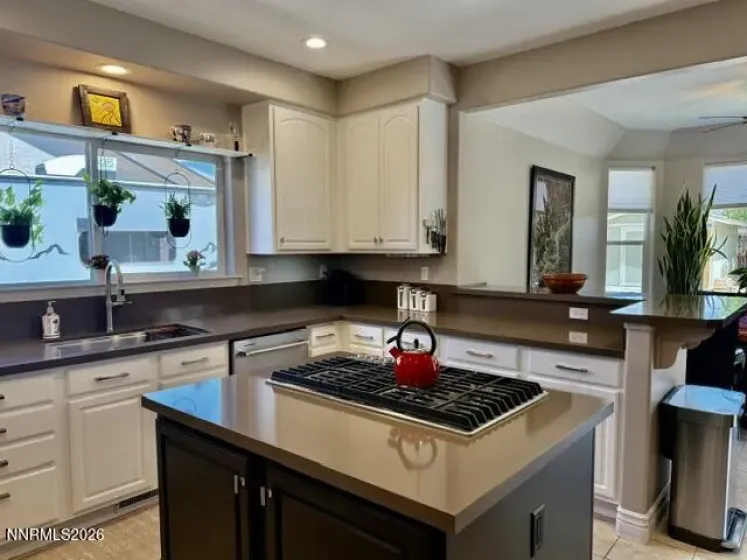 2911 La Cresta, Minden, Nevada 89423, 4 Bedrooms Bedrooms, ,3 BathroomsBathrooms,Residential,Residential,La Cresta,0,260009452
