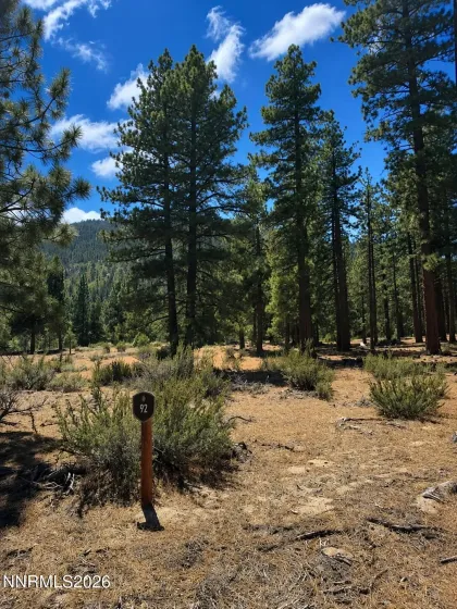 3571 Knob Point, Carson City, Nevada 89705, ,Land,Residential,Knob Point,0,260009456