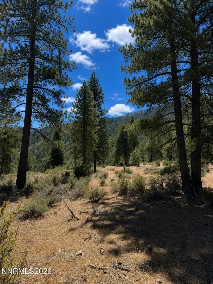 3571 Knob Point, Carson City, Nevada 89705, ,Land,Residential,Knob Point,0,260009456