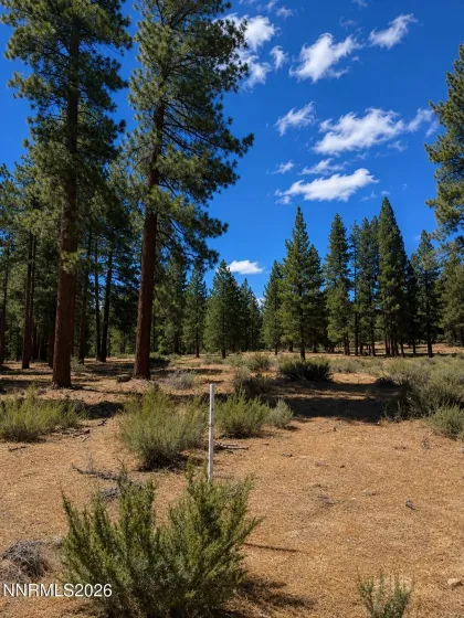 3571 Knob Point, Carson City, Nevada 89705, ,Land,Residential,Knob Point,0,260009456