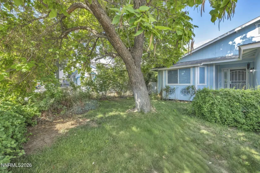 652 Silver Lace, Fernley, Nevada 89408, 3 Bedrooms Bedrooms, ,2 BathroomsBathrooms,Residential,Residential,Silver Lace,0,260009465