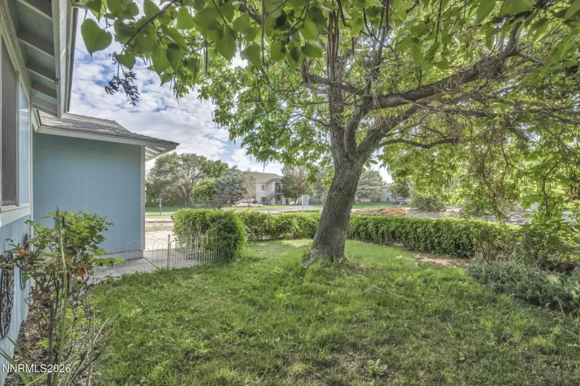 652 Silver Lace, Fernley, Nevada 89408, 3 Bedrooms Bedrooms, ,2 BathroomsBathrooms,Residential,Residential,Silver Lace,0,260009465