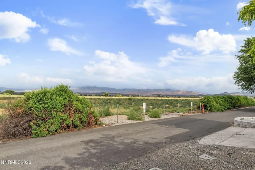 1341 Mountain Ash, Gardnerville, Nevada 89410, 3 Bedrooms Bedrooms, ,2 BathroomsBathrooms,Residential,Residential,Mountain Ash,0,260009467