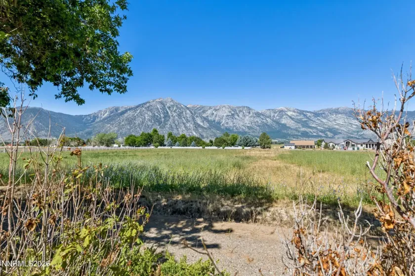 1049 Kimmerling, Gardnerville, Nevada 89460, 5 Bedrooms Bedrooms, ,6 BathroomsBathrooms,Residential,Residential,Kimmerling,0,260009473