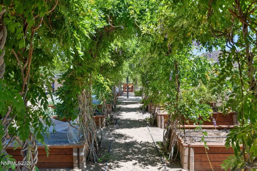 515 Rhodes, Reno, Nevada 89521, 7 Bedrooms Bedrooms, ,8 BathroomsBathrooms,Residential,Residential,Rhodes,0,260009474