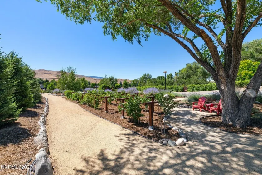 515 Rhodes, Reno, Nevada 89521, 7 Bedrooms Bedrooms, ,8 BathroomsBathrooms,Residential,Residential,Rhodes,0,260009474