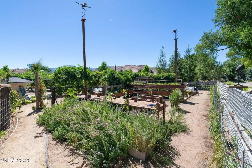 515 Rhodes, Reno, Nevada 89521, 7 Bedrooms Bedrooms, ,8 BathroomsBathrooms,Residential,Residential,Rhodes,0,260009474